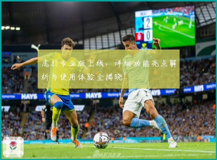 虎扑专业版上线，详细功能亮点解析与使用体验全揭晓！
